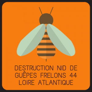 destruction nid de guepes frelons 44 loire atlantique